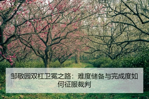 zou-jing-yuan-shuang-gang-wei-mian-zhi-lu-nan-du-chu-bei-yu-wan-cheng-du-ru-he-zheng-fu-cai-pan-2-160.jpg