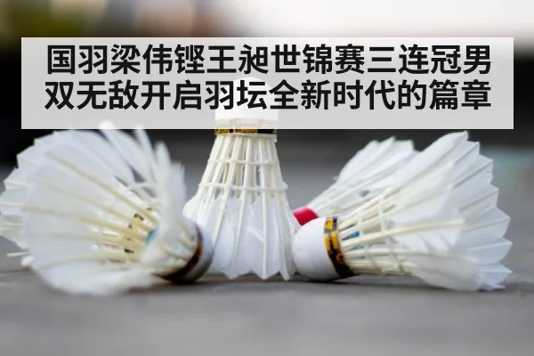 badminton shuttlecock closeup